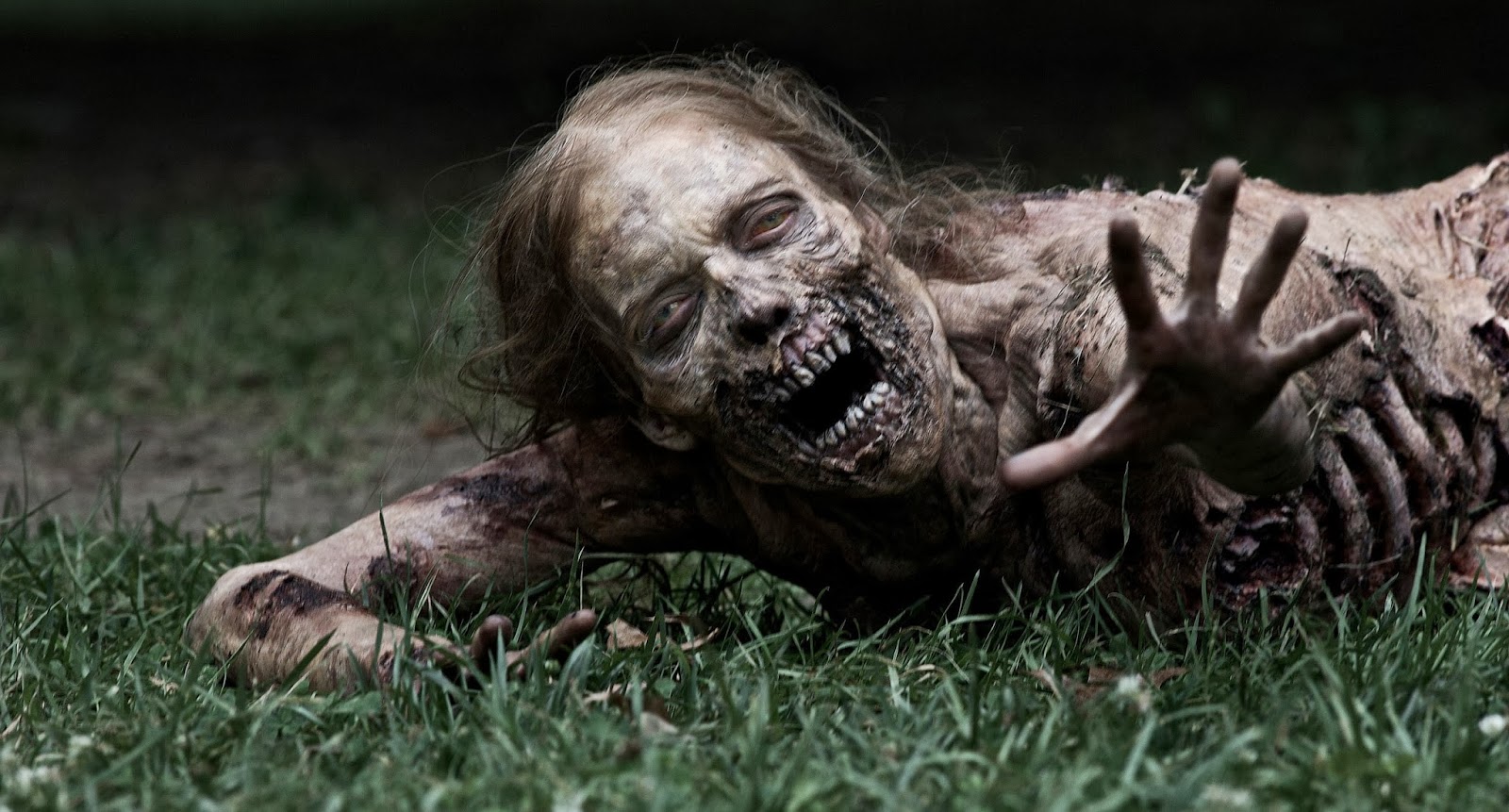 Zombie Animasi Bergerak Lucu X Zombie Animasi Bergerak Lucu X