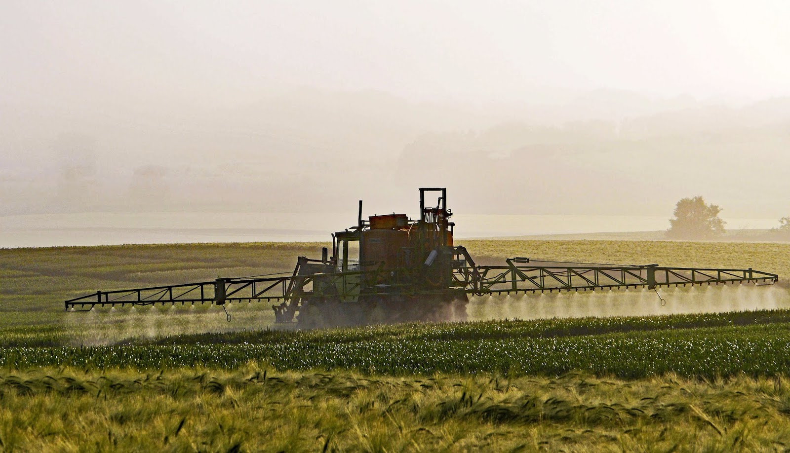Proyecto Integrador Vacunas Pesticida Y Antibióticos Usos Y Abusos