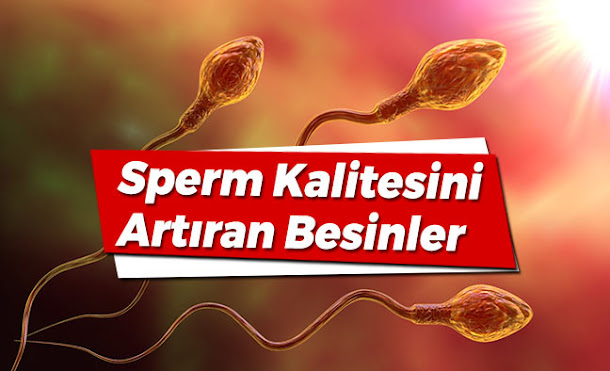 sperm kalitesini arttıran besinler, sperm sayısını arttırmak için neler yenmeli? hangi gıdalar tüketilmeli? spermi arttıran besin listesi. sperm kalitesini arttıran besinler, sperm sayısını arttırmak için neler yenmeli? hangi gıdalar tüketilmeli? spermi arttıran besin listesi.