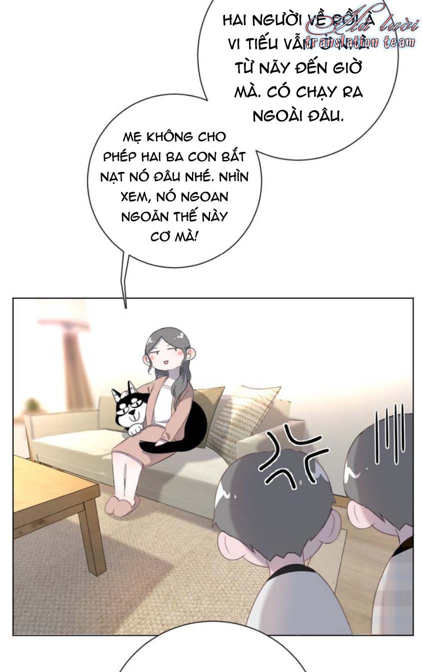 Đọc truyện Thế giới của một chú mèo - Chapter 17