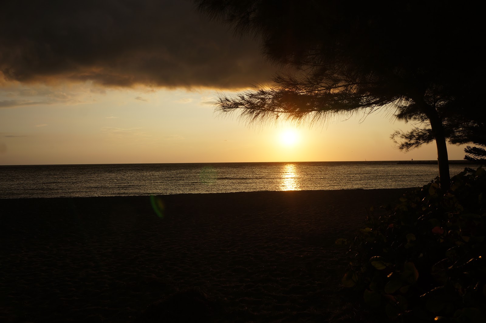 musings florida snow shovel