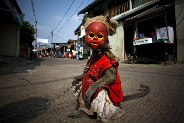 Живые куклы-попрошайки Джакарты