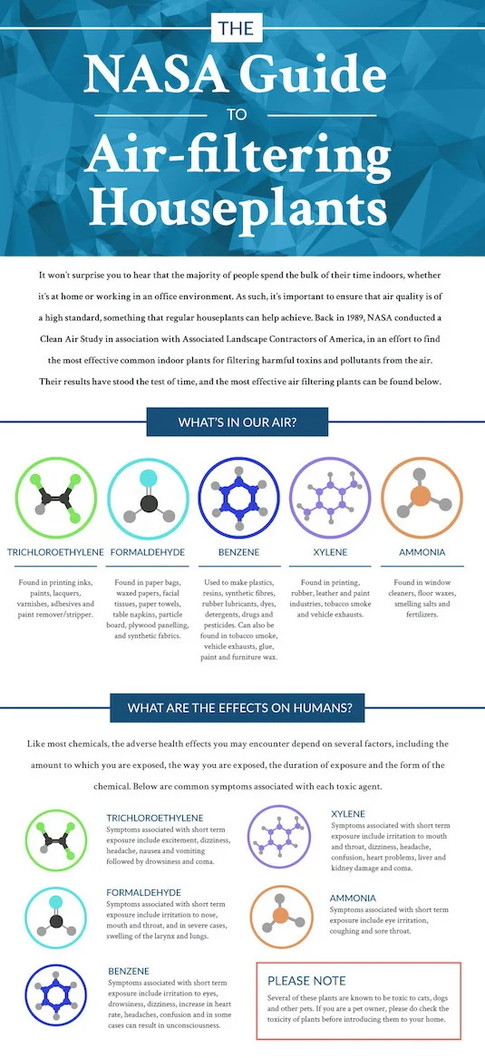 NASA guide to air-filtering houseplanys