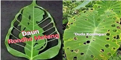 Pakaian Adat Minangkabau Tanamonews Com