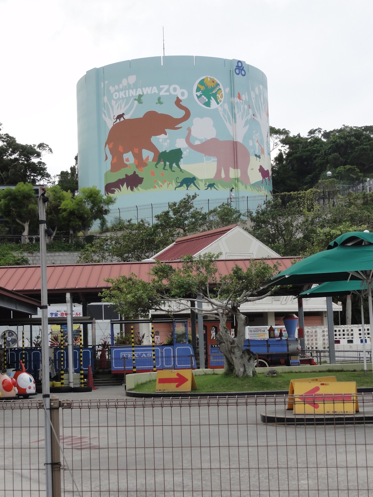 Okinawa A Marine Adventure Okinawa Zoo