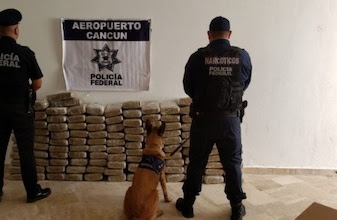 Incautan +400KGS de droga: 100 ladrillos de marihuana en Cancún y 280 paquetes de cocaína carretera Chetumal-FCP