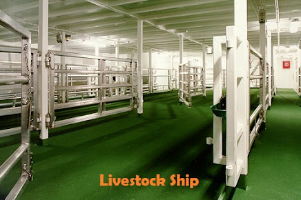 Livestock Vessel