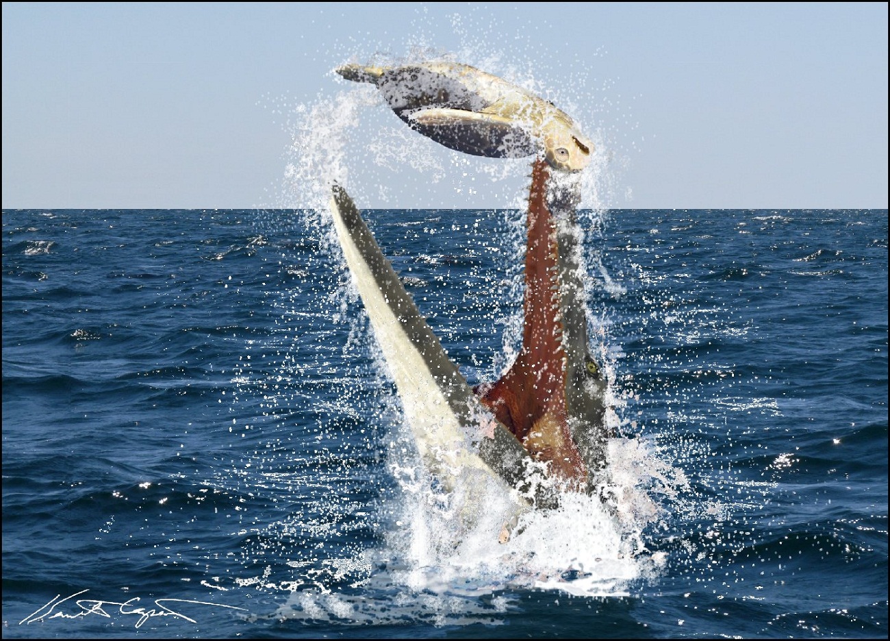 китообразные кашалот. гигантские морские рыбы. китообразные горбатый кит. горбатый кит обитание. гигантский тихоокеанский осьминог.