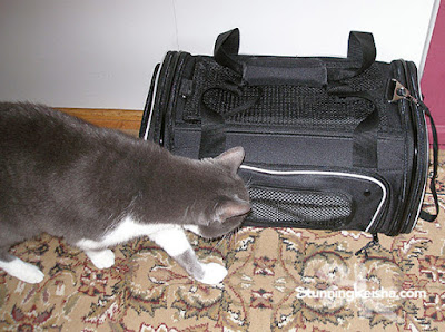 Smiling Paws Pets - TSA Airline Approved Pet Carrier for Small