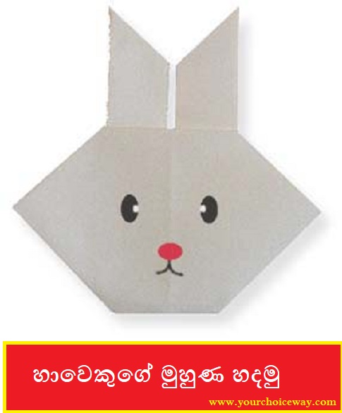 හාවෙකුගේ මුහුණ හදමු (Origami Rabbit(Face)) - Your Choice Way
