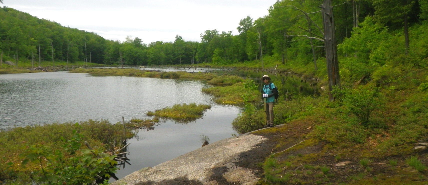 Mud Lake Leanto NY