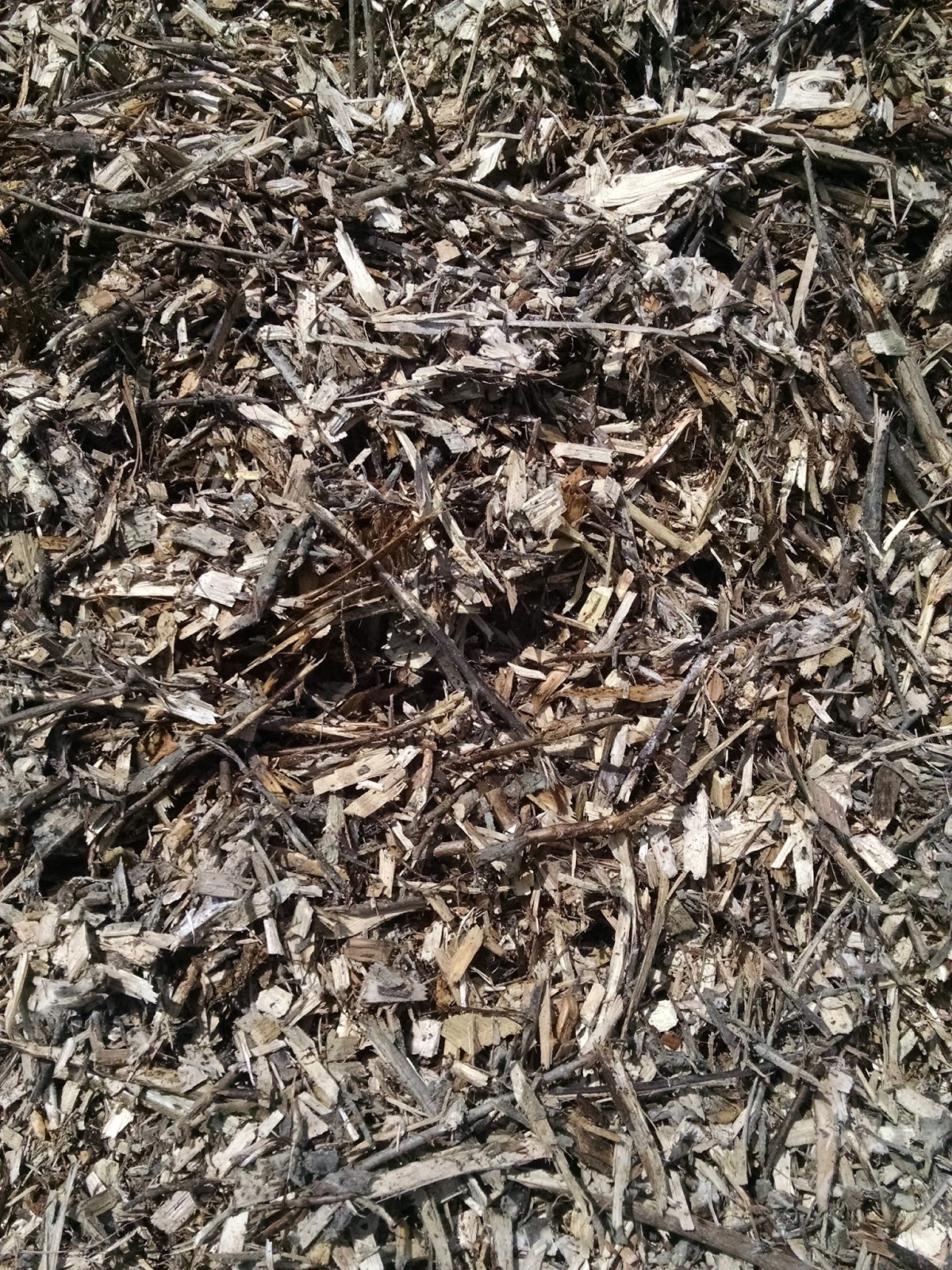 The Poor Farm The Best Mulch is Free Mulch