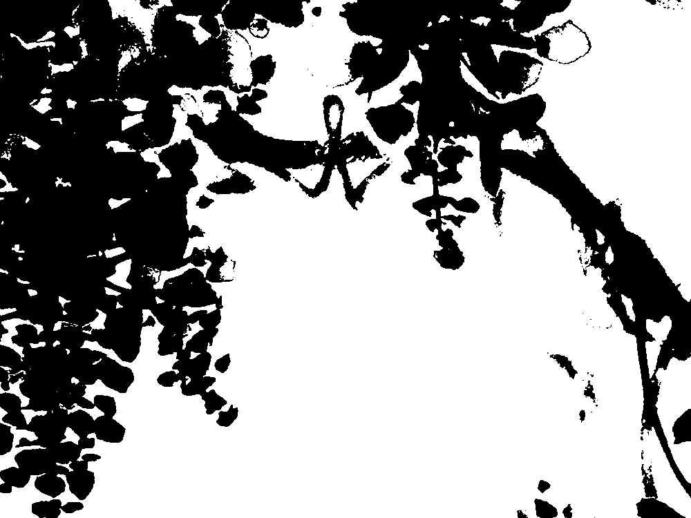 공주 계룡면사무소 영규대사비 공주 계룡면사무소 영규대사비