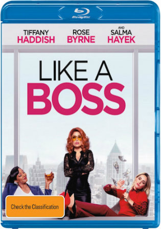 Like a Boss 2020 BRRip 400Mb Hindi Dual Audio ORG 480p