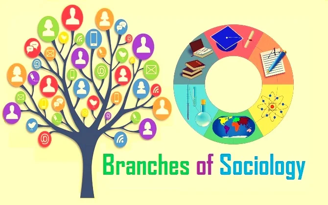 Branches of sociology
