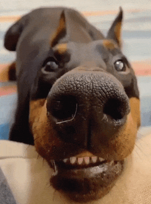 tumblr_5eb75ec79d662873c409cb73fe59cd5f_66d383ac_400.gif