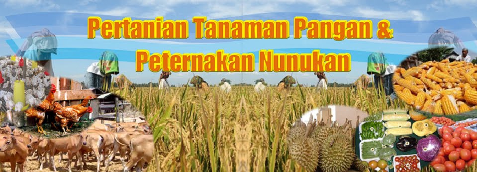 Pertanian Tanaman Pangan dan Peternakan Nunukan