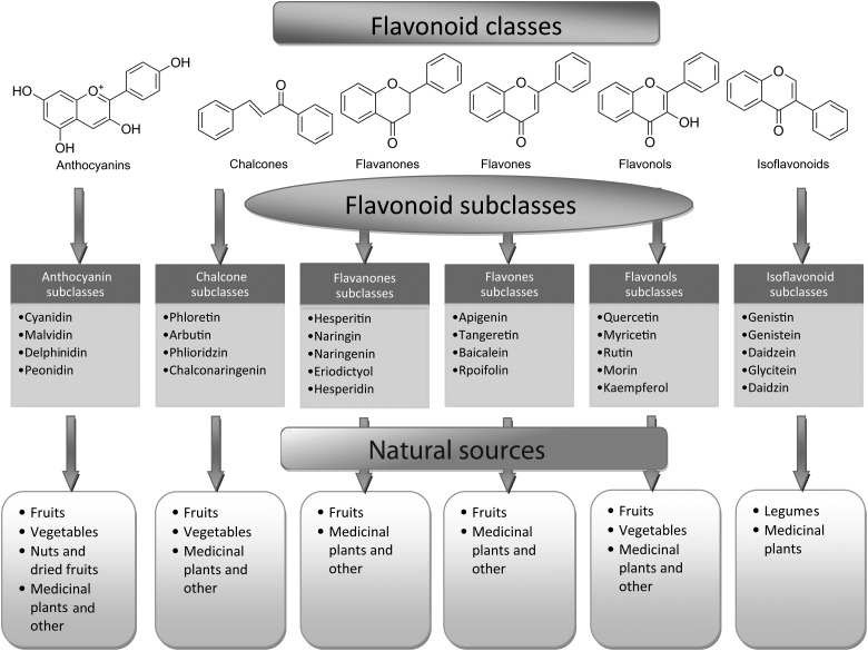 Keragaman dan Keunikan Struktur Kimia Flavonoid EChemistry