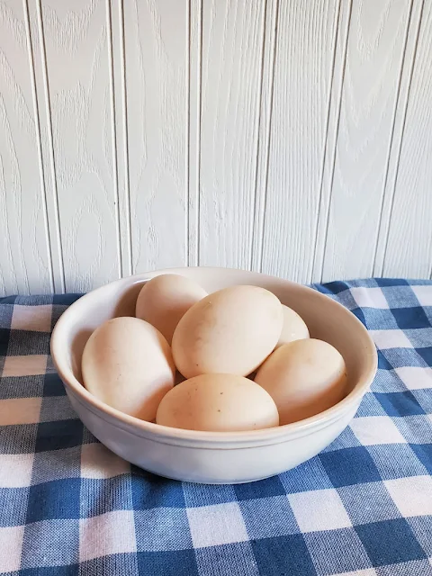 bowl of duck eggs