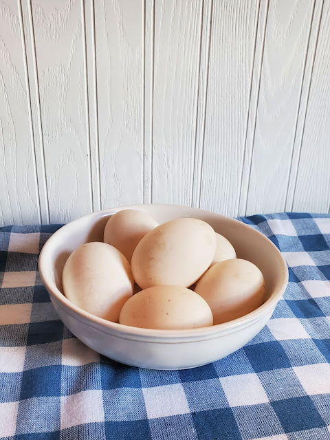 Delicious fresh duck egg To Enrich Your Daily Diet 