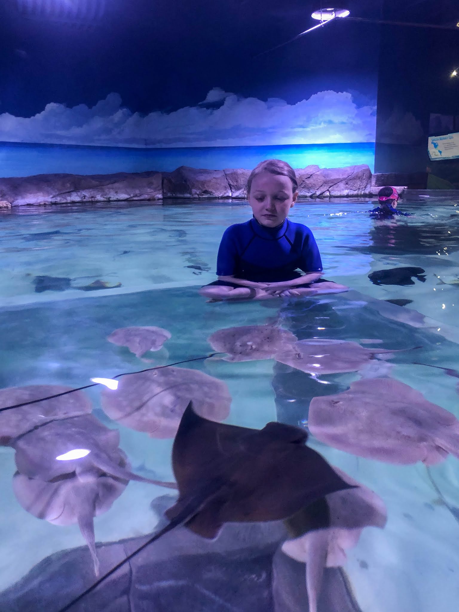 Little Hiccups Snorkeling with Stingrays at SeaQuest Littleton