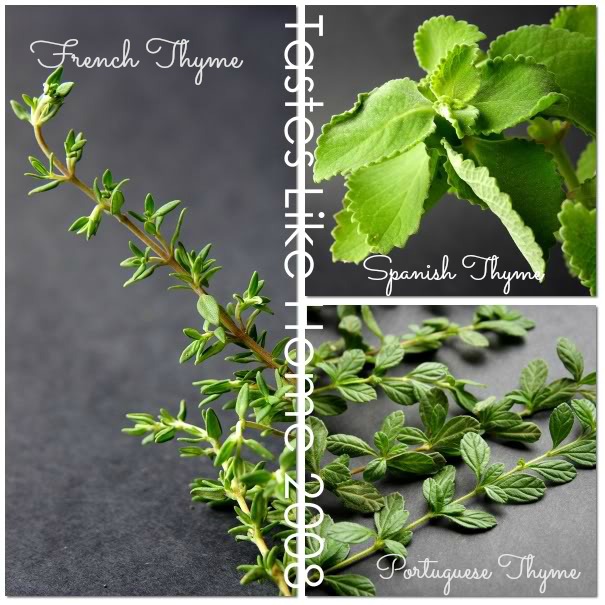 Breakfast, Lunch, Dinner & Punch Trinidad Green seasoning