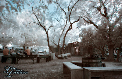 The Grapevine in Gruene, New Braunfels, infrared photography