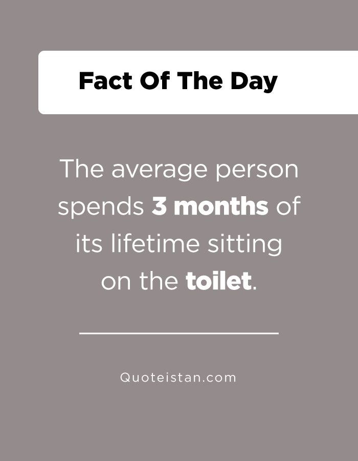 The average person spends 3 months of its lifetime sitting on the toilet.