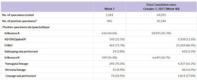 Avian Flu Diary: FluView Week 7: Influenza Activity Remains Elevated
