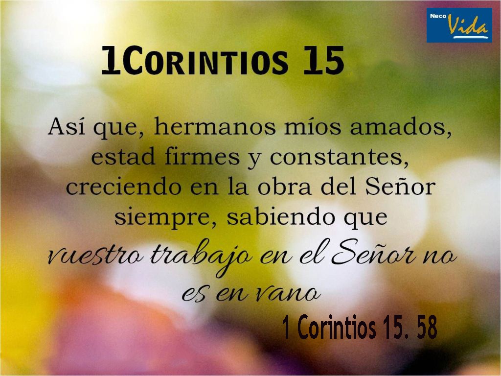 Neco Vida Leyendo... 1 de Corintios capítulo 15