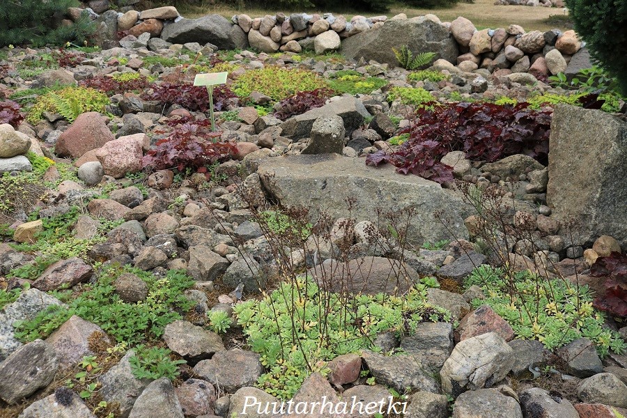 Puutarhavierailulla Botanischer Garten Mellenthin, Usedom, Saksa, osa