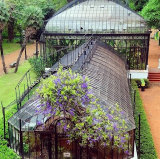 Jardín Botánico de la Ciudad. El invernadero de Palermo. 7 botanico%2B222122121