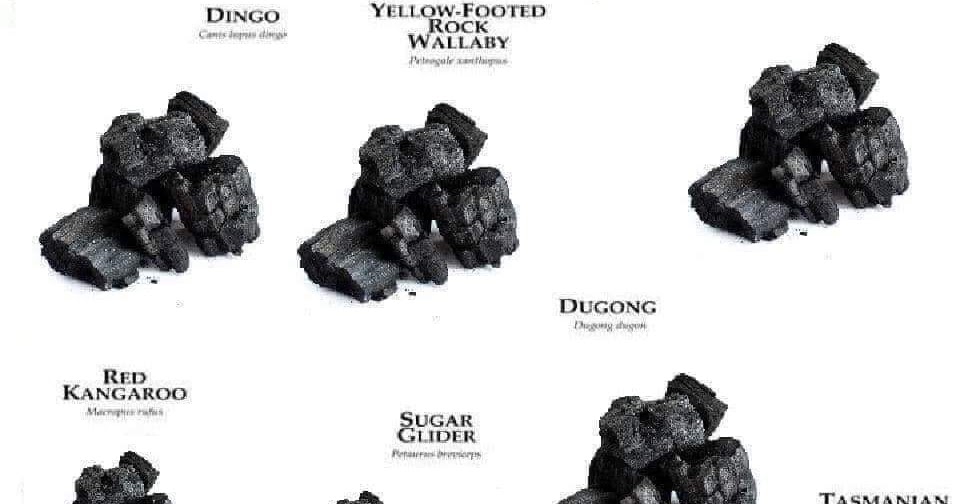 Eaton Rapids Joe: Identifying the Animals of Australia (Chart)