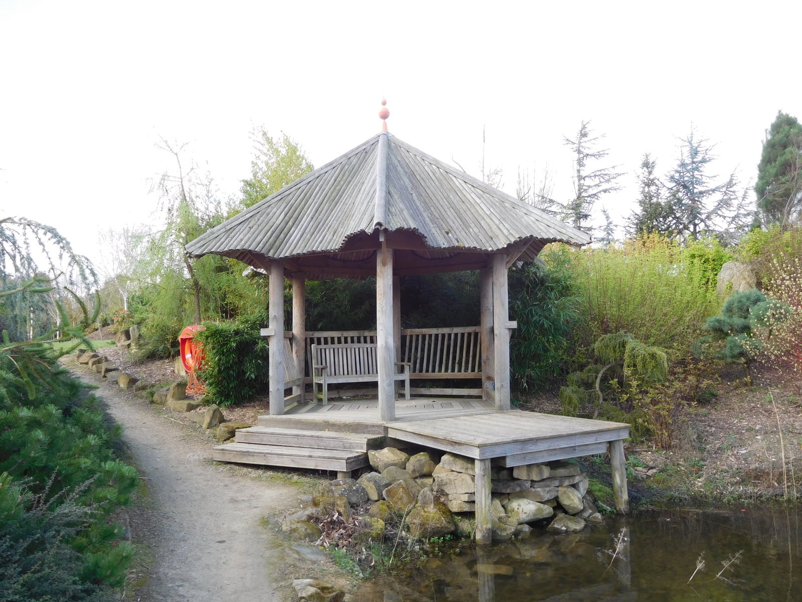 Galanthus My Local Garden Centre Walkers Nurseries