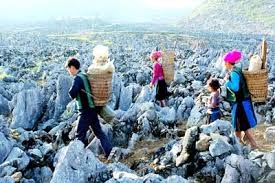 Tour ghép Hà Giang khởi hành từ Mỹ Đình Tour ghép Hà Giang khởi hành từ Mỹ Đình