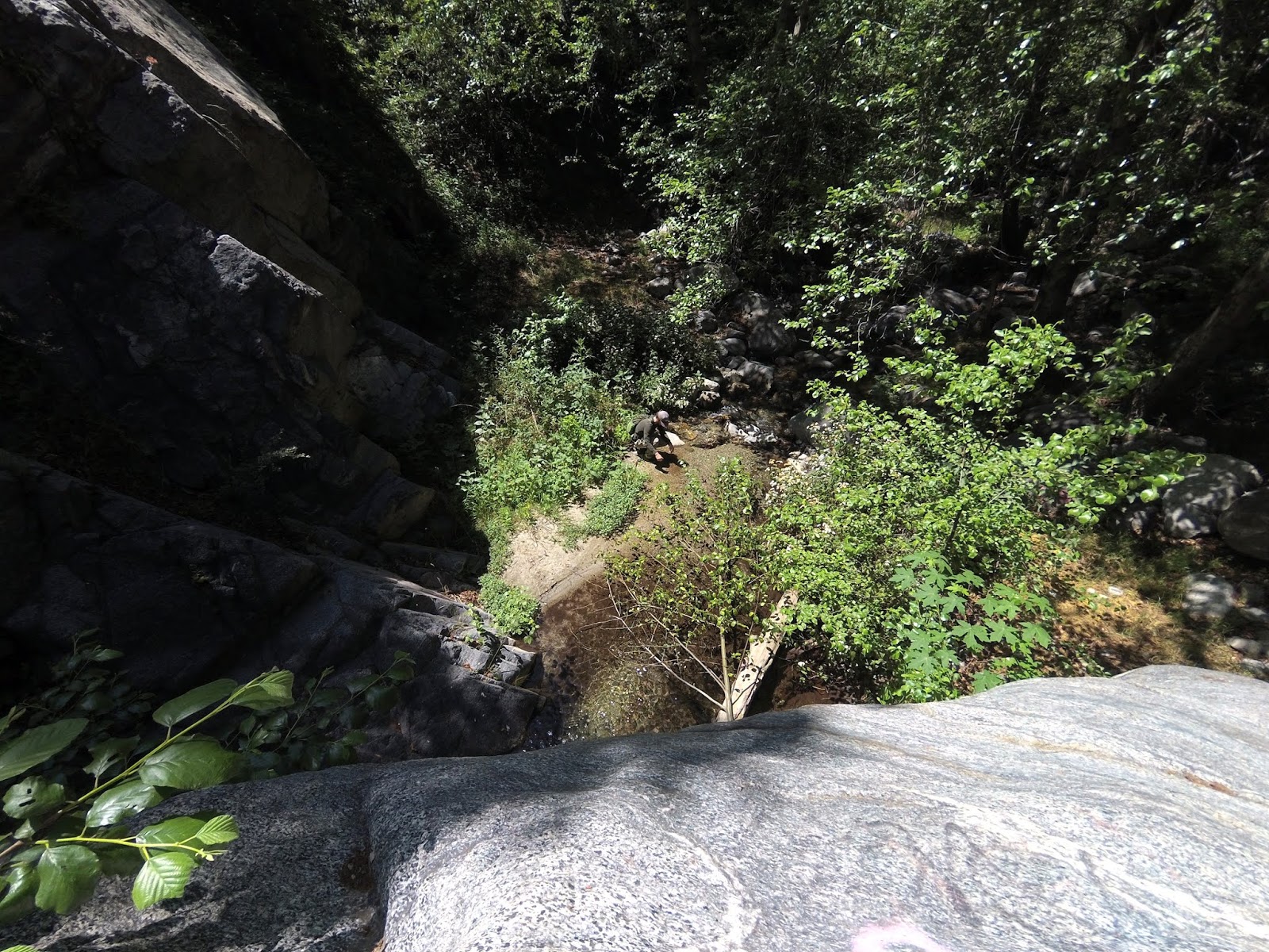 Los Angeles Fly Fishing for Rainbow Trout Hunting the River King