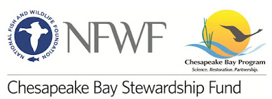 PA Environment Digest Blog: National Fish & Wildlife Foundation