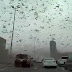 Plaga de langostas: un video aterrador de Bahrein muestra a millones de langostas convertir el cielo en negro (vídeos)