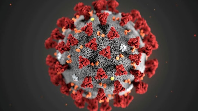 Nigeria confirms first coronavirus case 