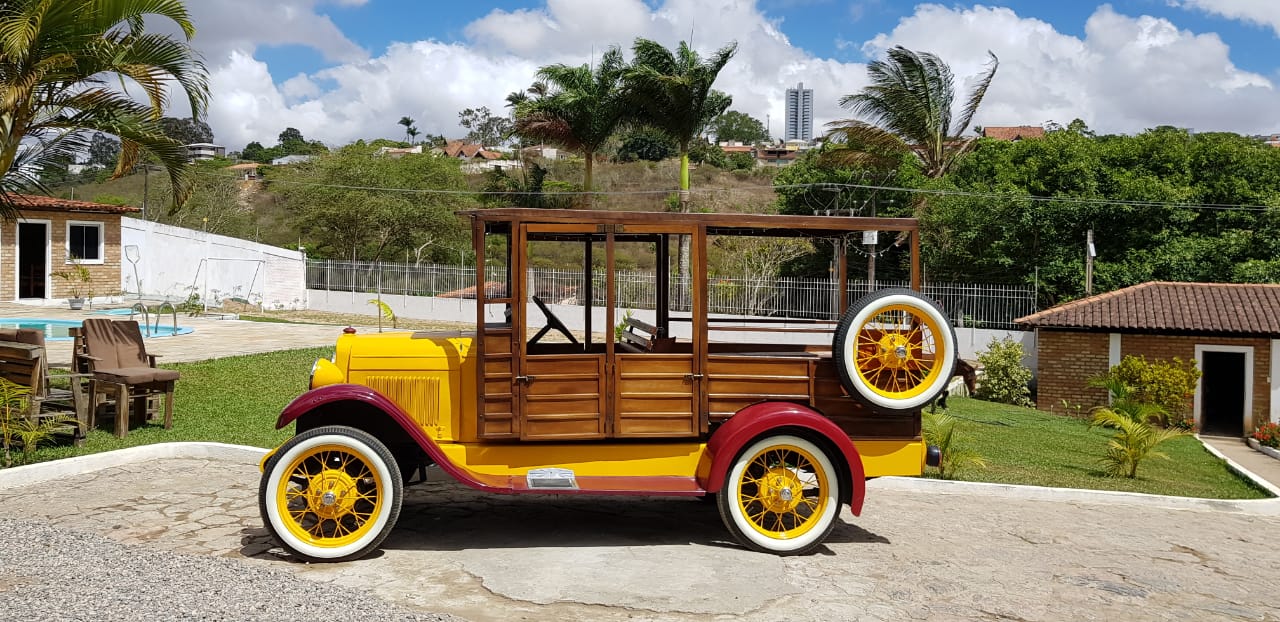 ciclo celular Trabalhos para Escola ciclo celular Trabalhos para Escola