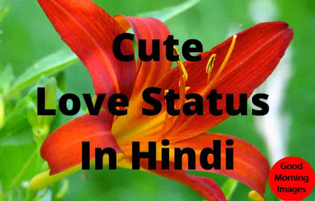 Cute Love Status In Hindi