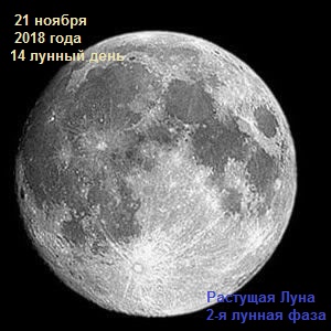 Смотреть 13 февраля 6 лунный день: избавься от ненужных вещей видео Смотреть 13 февраля 6 лунный день: избавься от ненужных вещей видео