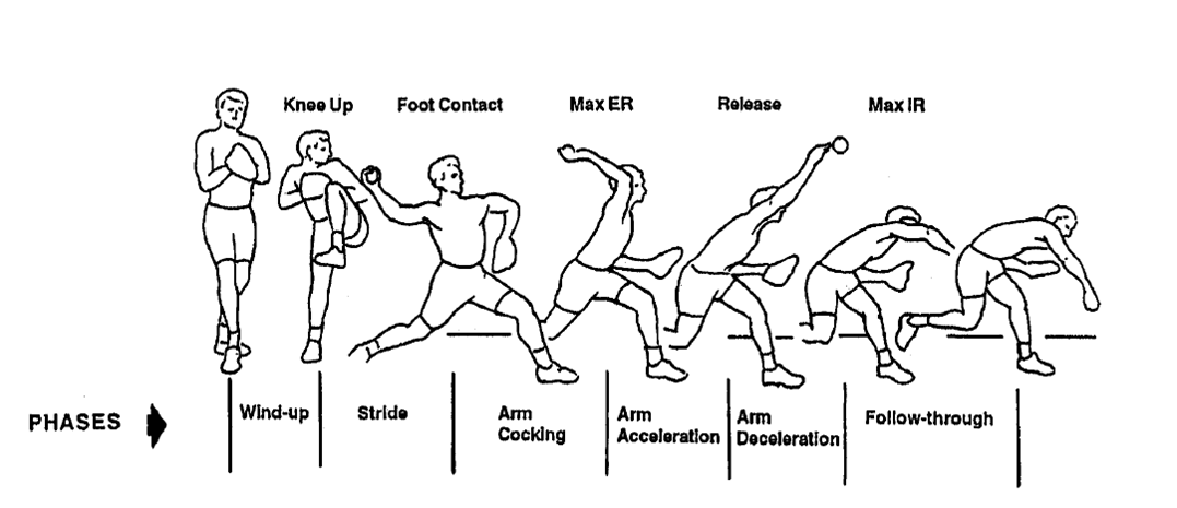 HLPE 3531 Biomechanics assignment: Using the principles of biomechanics