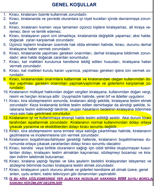 Kiraci Ev Boyama