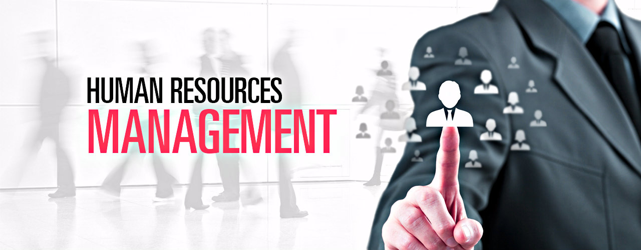 How to Pursue Career Change to Human Resource Management Get Advice