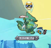 The Animal Jam Spring!: RIMS
