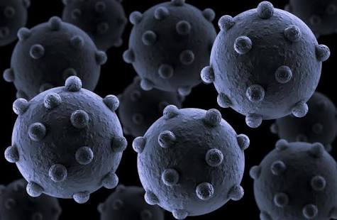 VIDEO: Aparece Nuevo Virus En Humanos. VIDEO: Aparece Nuevo Virus En Humanos.