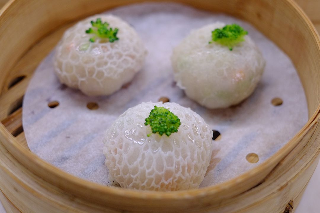 Fungi of Singapore Bridal Veil Mushroom (Phallus indusiatus)