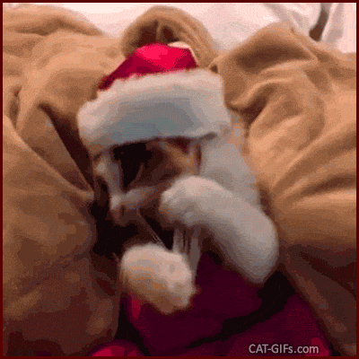Christmas Cat GIF • Cute Santa kitten reading a book about “Christmas gift deliveries in a fast and secure way.” Christmas Cat GIF • Cute Santa kitten reading a book about “Christmas gift deliveries in a fast and secure way.”