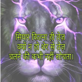 sher dp status sher dp status